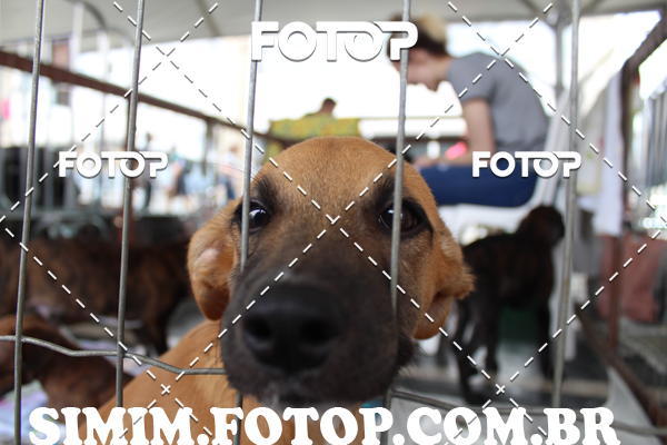Buy your photos of the eventEXPOFIT - 2 EDIO - SBADO -DOMINGO on Fotop
