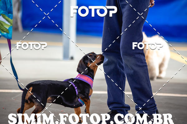 Buy your photos of the eventEXPOFIT - 2 EDIO - SBADO -DOMINGO on Fotop