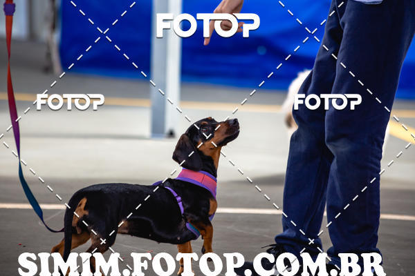 Buy your photos of the eventEXPOFIT - 2 EDIO - SBADO -DOMINGO on Fotop