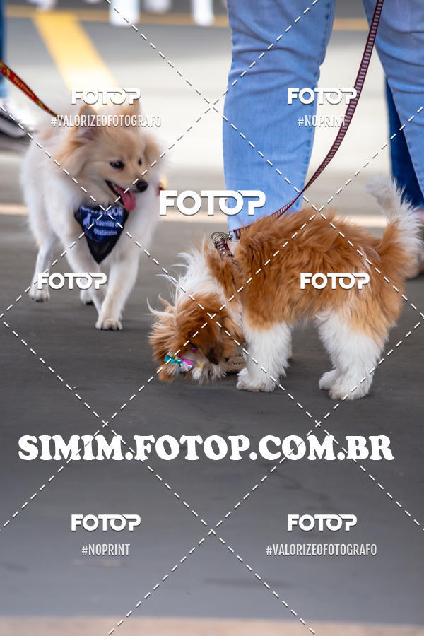 Buy your photos of the eventEXPOFIT - 2 EDIO - SBADO -DOMINGO on Fotop