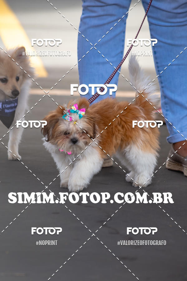 Buy your photos of the eventEXPOFIT - 2 EDIO - SBADO -DOMINGO on Fotop
