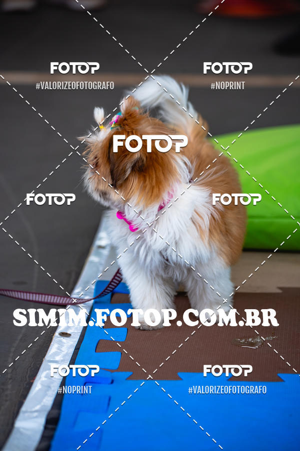 Buy your photos of the eventEXPOFIT - 2 EDIO - SBADO -DOMINGO on Fotop