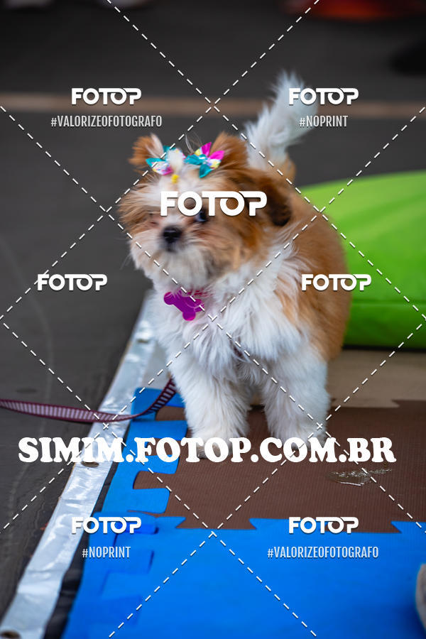 Buy your photos of the eventEXPOFIT - 2 EDIO - SBADO -DOMINGO on Fotop