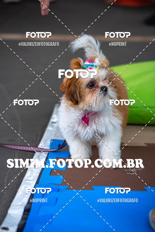 Buy your photos of the eventEXPOFIT - 2 EDIO - SBADO -DOMINGO on Fotop