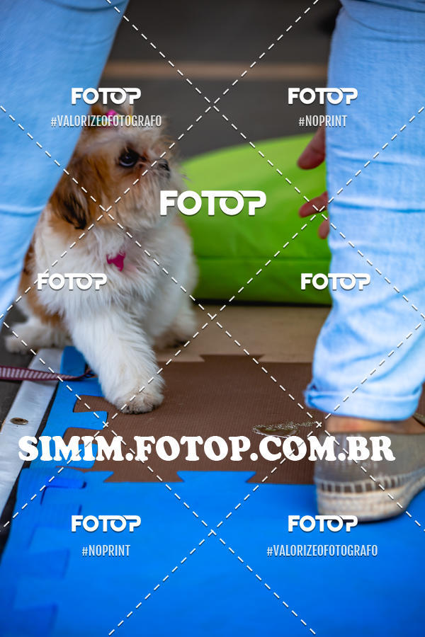 Buy your photos of the eventEXPOFIT - 2 EDIO - SBADO -DOMINGO on Fotop