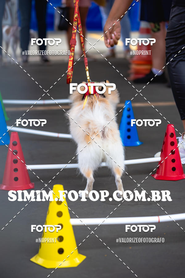 Buy your photos of the eventEXPOFIT - 2 EDIO - SBADO -DOMINGO on Fotop