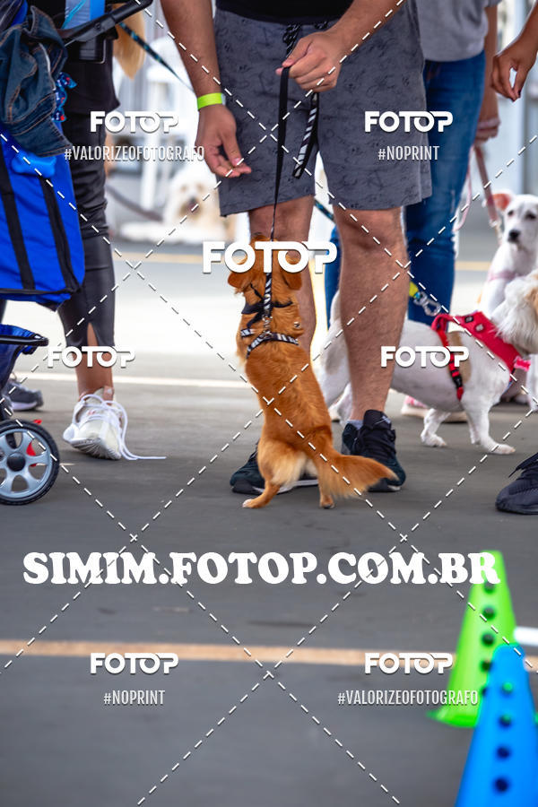 Buy your photos of the eventEXPOFIT - 2 EDIO - SBADO -DOMINGO on Fotop