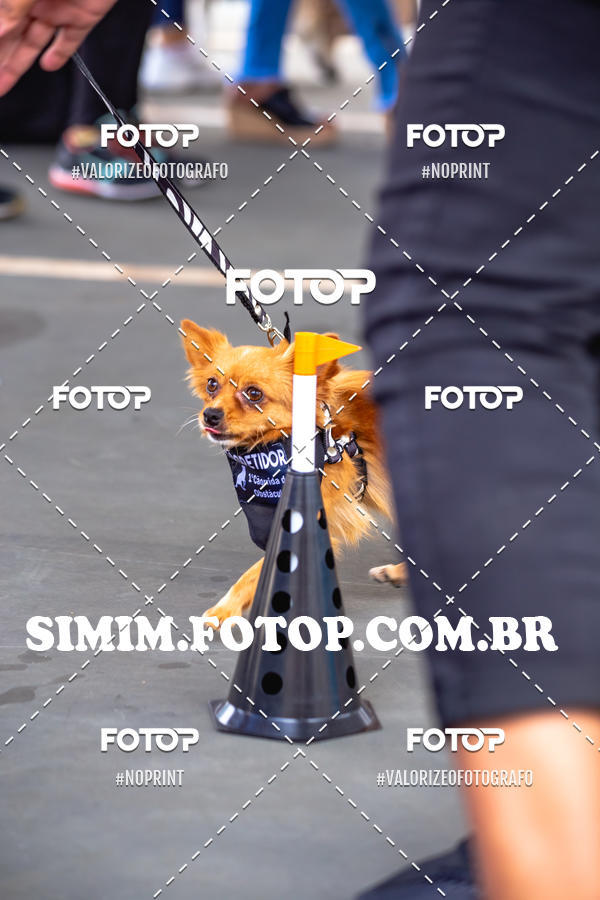 Buy your photos of the eventEXPOFIT - 2 EDIO - SBADO -DOMINGO on Fotop