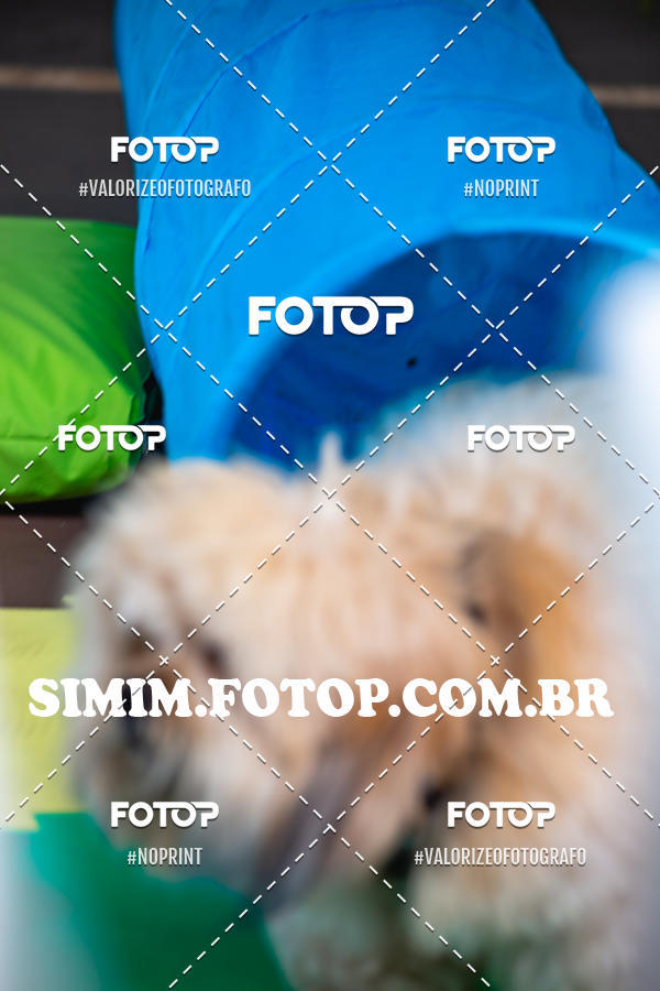 Buy your photos of the eventEXPOFIT - 2 EDIO - SBADO -DOMINGO on Fotop