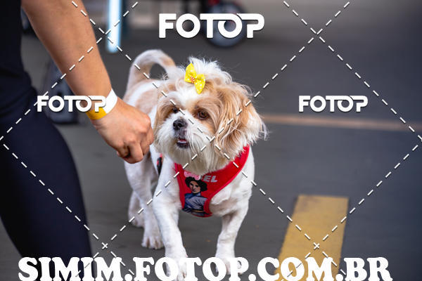 Buy your photos of the eventEXPOFIT - 2 EDIO - SBADO -DOMINGO on Fotop