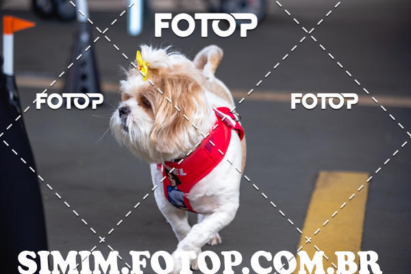 Buy your photos of the eventEXPOFIT - 2 EDIO - SBADO -DOMINGO on Fotop