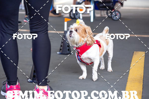 Buy your photos of the eventEXPOFIT - 2 EDIO - SBADO -DOMINGO on Fotop