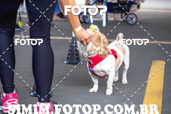 Buy your photos of the eventEXPOFIT - 2 EDIO - SBADO -DOMINGO on Fotop