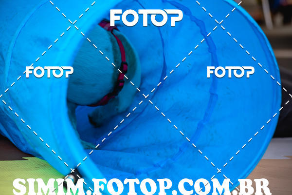 Buy your photos of the eventEXPOFIT - 2 EDIO - SBADO -DOMINGO on Fotop
