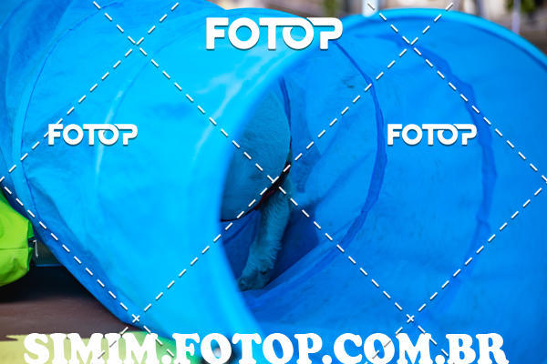 Buy your photos of the eventEXPOFIT - 2 EDIO - SBADO -DOMINGO on Fotop