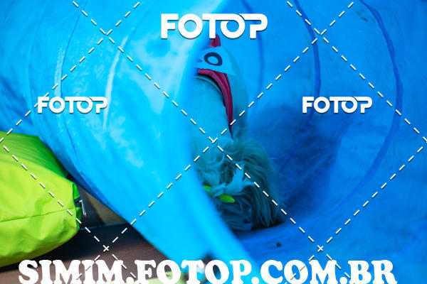 Buy your photos of the eventEXPOFIT - 2 EDIO - SBADO -DOMINGO on Fotop