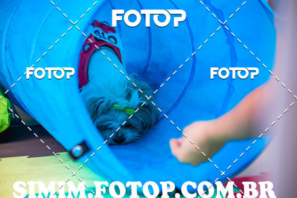 Buy your photos of the eventEXPOFIT - 2 EDIO - SBADO -DOMINGO on Fotop