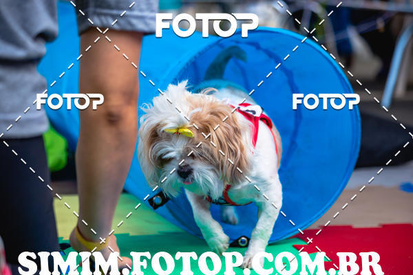 Buy your photos of the eventEXPOFIT - 2 EDIO - SBADO -DOMINGO on Fotop