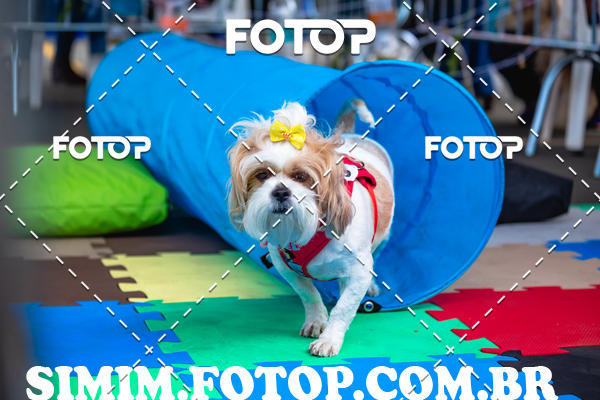 Buy your photos of the eventEXPOFIT - 2 EDIO - SBADO -DOMINGO on Fotop