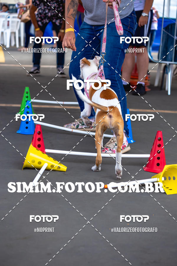 Buy your photos of the eventEXPOFIT - 2 EDIO - SBADO -DOMINGO on Fotop