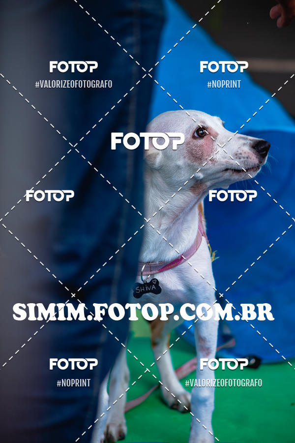 Buy your photos of the eventEXPOFIT - 2 EDIO - SBADO -DOMINGO on Fotop