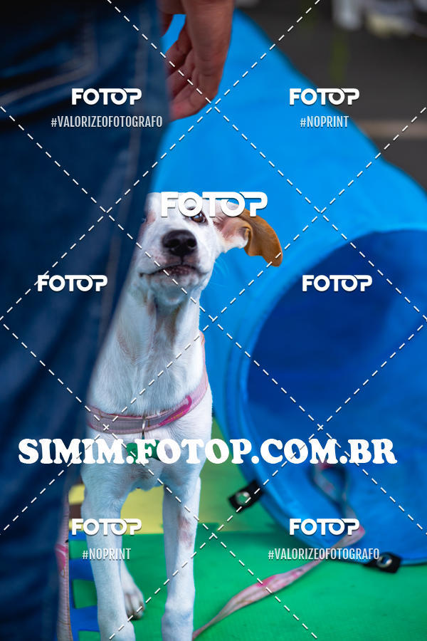 Buy your photos of the eventEXPOFIT - 2 EDIO - SBADO -DOMINGO on Fotop
