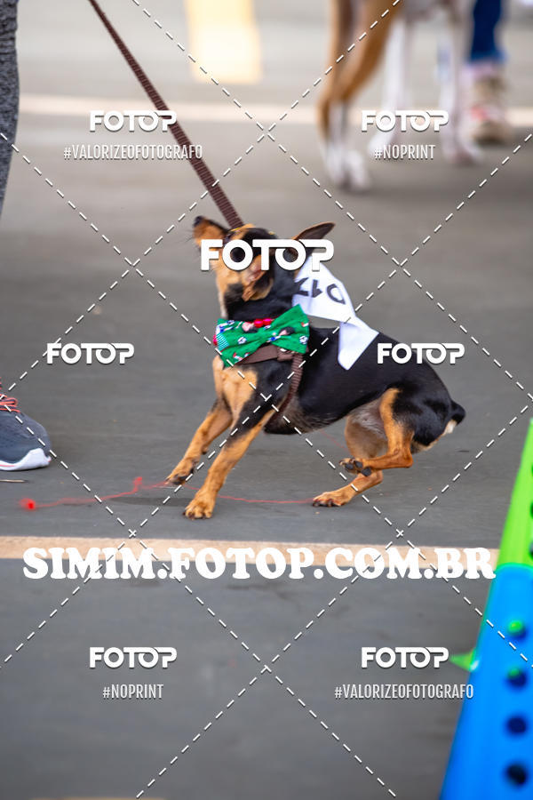 Buy your photos of the eventEXPOFIT - 2 EDIO - SBADO -DOMINGO on Fotop