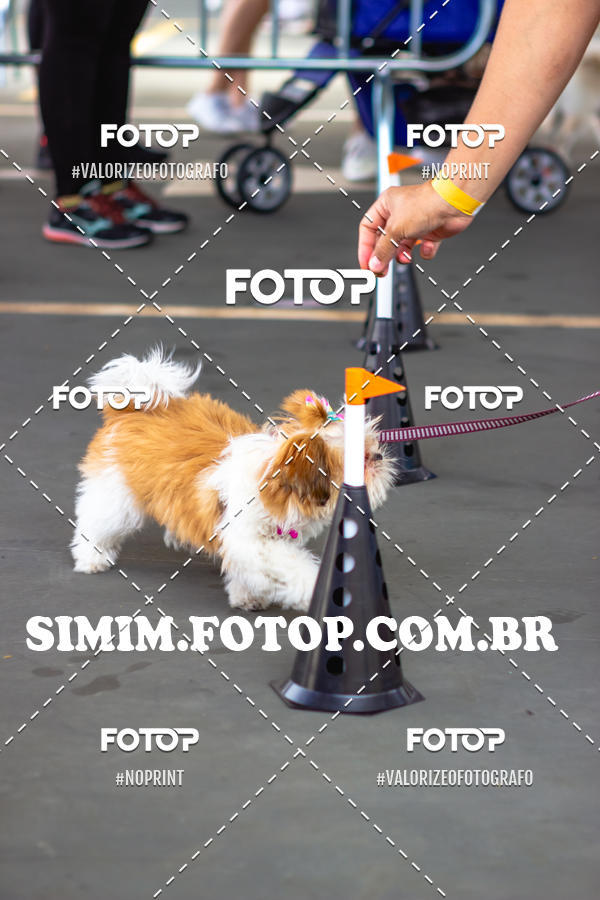 Buy your photos of the eventEXPOFIT - 2 EDIO - SBADO -DOMINGO on Fotop