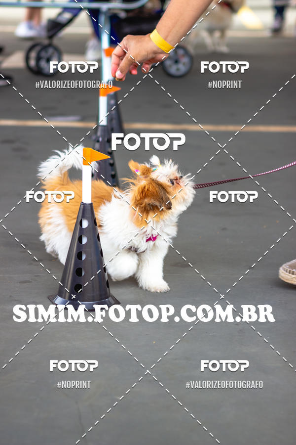 Buy your photos of the eventEXPOFIT - 2 EDIO - SBADO -DOMINGO on Fotop