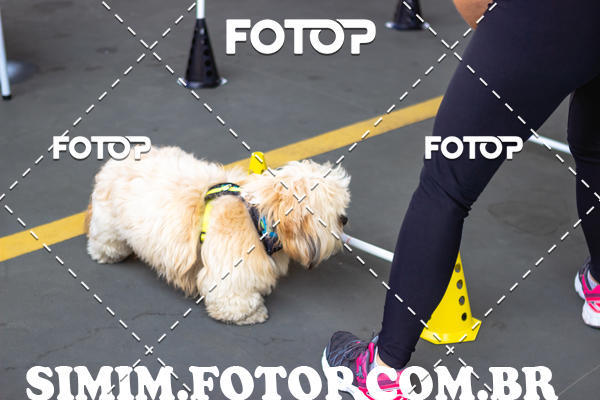 Buy your photos of the eventEXPOFIT - 2 EDIO - SBADO -DOMINGO on Fotop