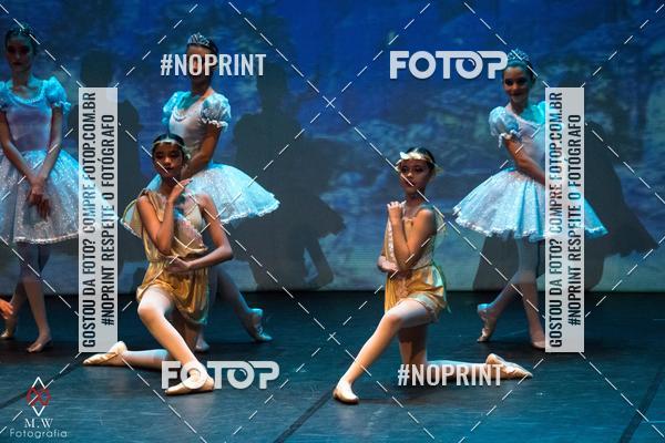 Buy your photos of the eventDon Quixote - St�dio Talita Brasil on Fotop