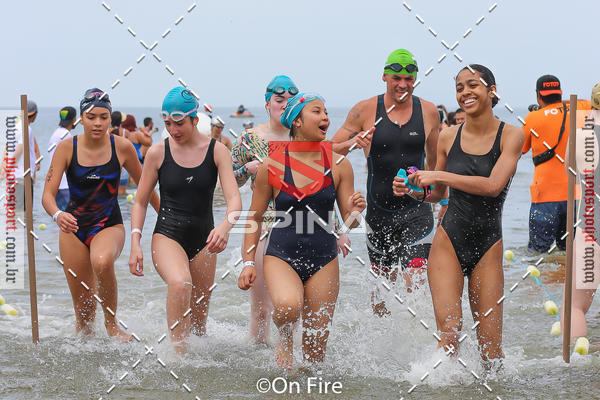 Buy your photos of the eventPERFORMANCE RUN AQUATHLON & TRAVESSIA - ETAPA 6 - 2019 on Fotop