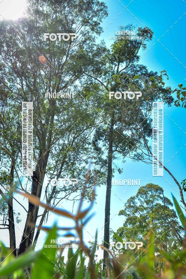 Buy your photos of the eventCross Country Gamaia Vinac 2019 on Fotop