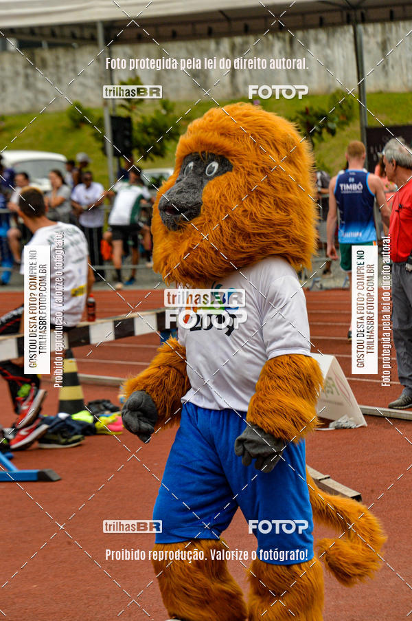 Buy your photos of the eventAtletismo - JASC on Fotop