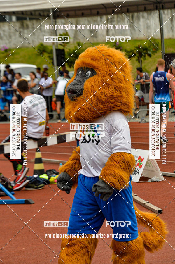 Buy your photos of the eventAtletismo - JASC on Fotop