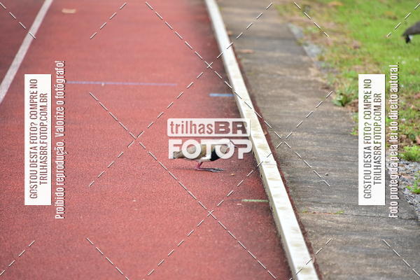 Buy your photos of the eventAtletismo - JASC on Fotop