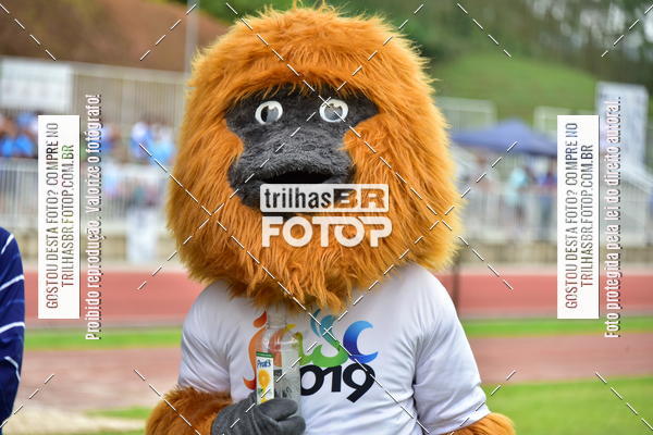 Buy your photos of the eventAtletismo - JASC on Fotop