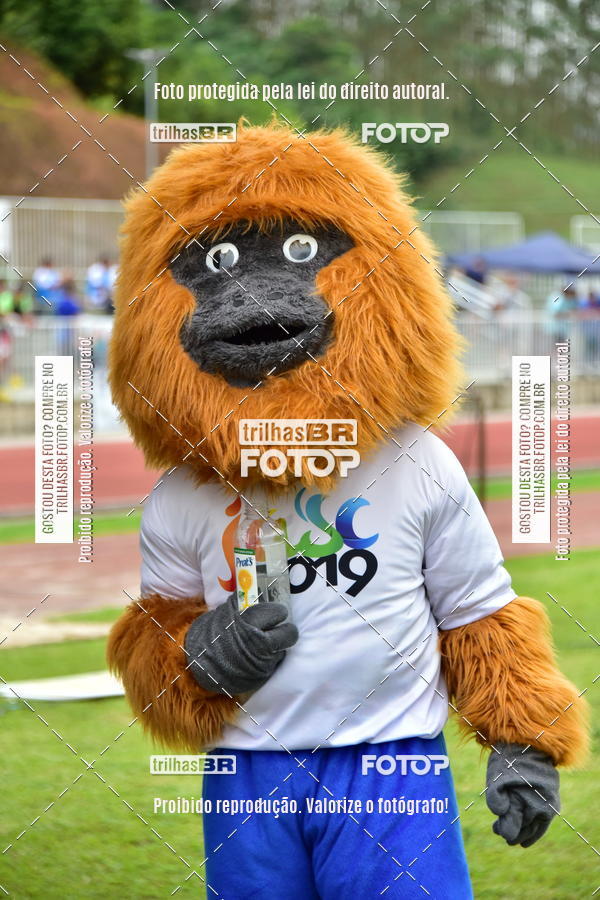 Buy your photos of the eventAtletismo - JASC on Fotop