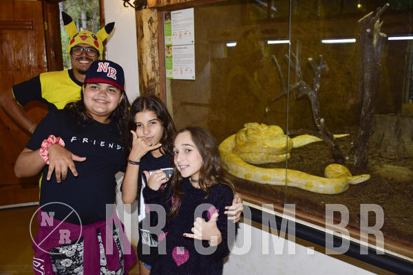 Buy your photos of the eventNR Ol� 6� Ano  08 a 10/11/19  on Fotop