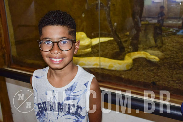 Buy your photos of the eventNR Ol� 6� Ano  08 a 10/11/19  on Fotop