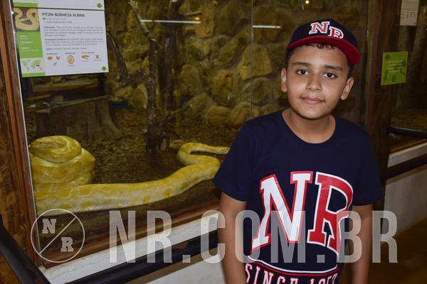 Buy your photos of the eventNR Ol� 6� Ano  08 a 10/11/19  on Fotop