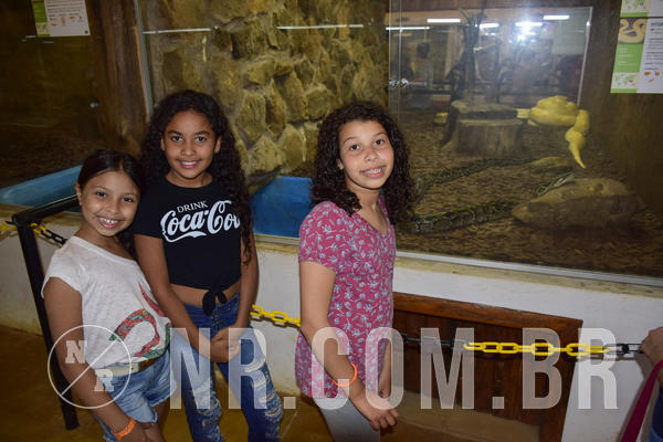 Buy your photos of the eventNR Ol� 6� Ano  08 a 10/11/19  on Fotop