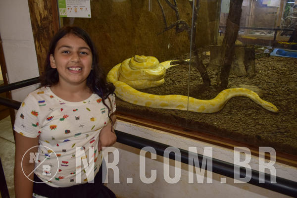 Buy your photos of the eventNR Ol� 6� Ano  08 a 10/11/19  on Fotop