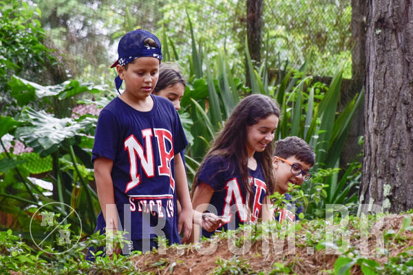 Buy your photos of the eventNR Ol� 6� Ano  08 a 10/11/19  on Fotop