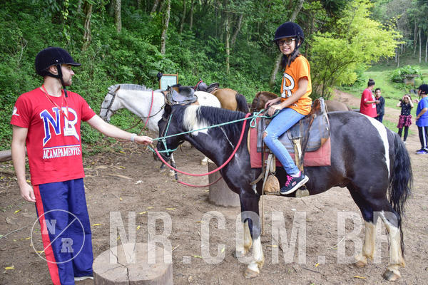 Buy your photos of the eventNR Ol� 6� Ano  08 a 10/11/19  on Fotop