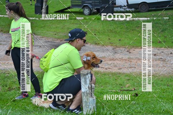 Buy your photos of the event2 PET RUNNER 2019 on Fotop