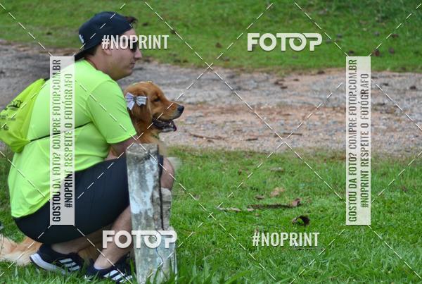 Buy your photos of the event2 PET RUNNER 2019 on Fotop