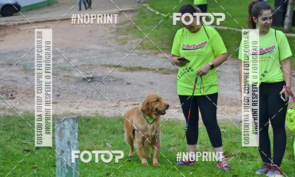 Buy your photos of the event2 PET RUNNER 2019 on Fotop