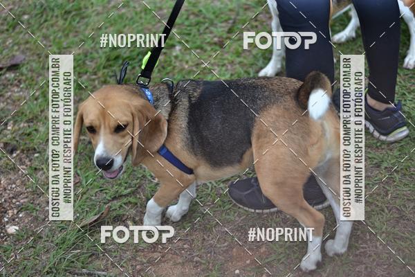 Buy your photos of the event2 PET RUNNER 2019 on Fotop