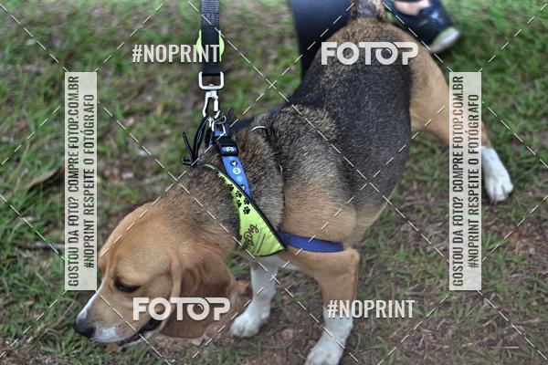 Buy your photos of the event2 PET RUNNER 2019 on Fotop